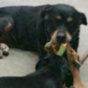 Meet your Posher, Faith